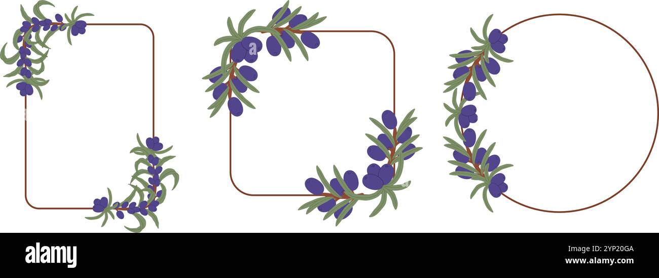 Olivfarbene Rahmenkollektion mit violetten Beeren auf einfachen geometrischen Formen Stock Vektor