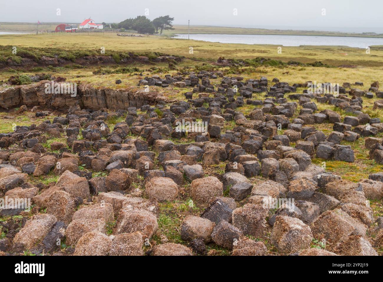 Eine Tour durch die Long Island Farm vor Stanley auf den Falklandinseln, dem Südatlantik, Südamerika Stockfoto