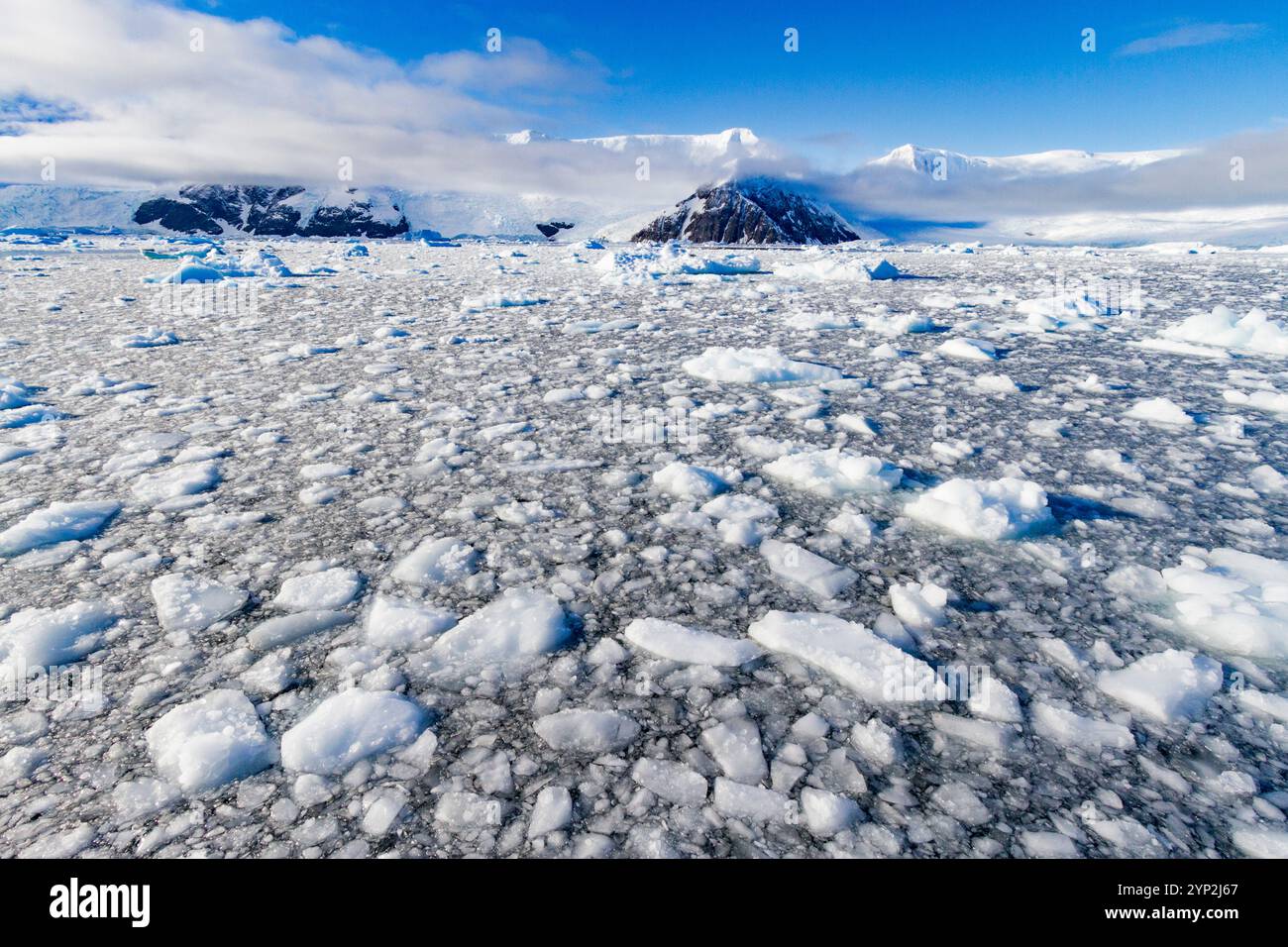 Blick auf raues Eis und schneebedeckte Berge im Neko Harbor in Andvord Bay, Antarktis, Polarregionen Stockfoto