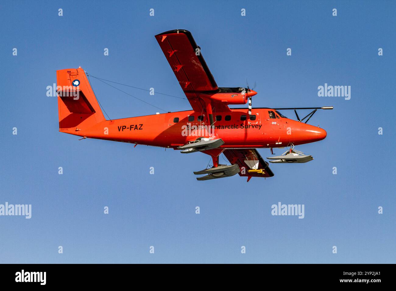 Forschungsflugzeug des British Antarctic Survey (BAS), das in der Schlucht in der Nähe der Rothera Station in der Nähe der Antarktischen Halbinsel, Polarregionen, operiert Stockfoto