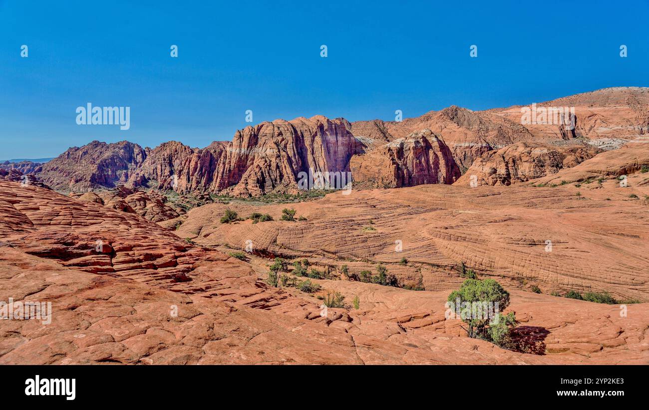 Die Red Mountains, die sich hinter den versteinerten Sanddünen im Snow Canyon State Park im Süden Utahs erheben Stockfoto