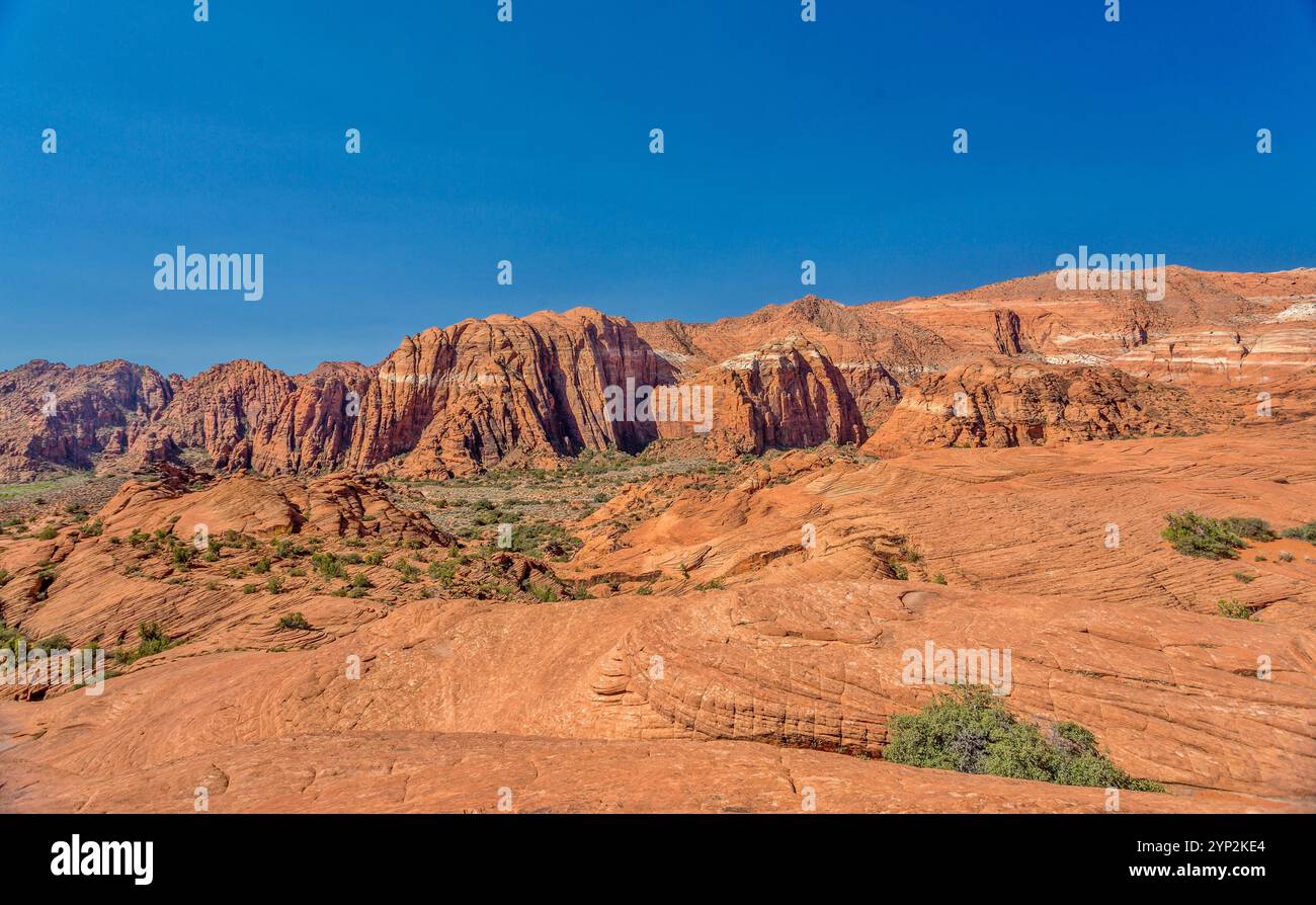 Die Red Mountains, die sich hinter den versteinerten Sanddünen im Snow Canyon State Park im Süden Utahs erheben Stockfoto