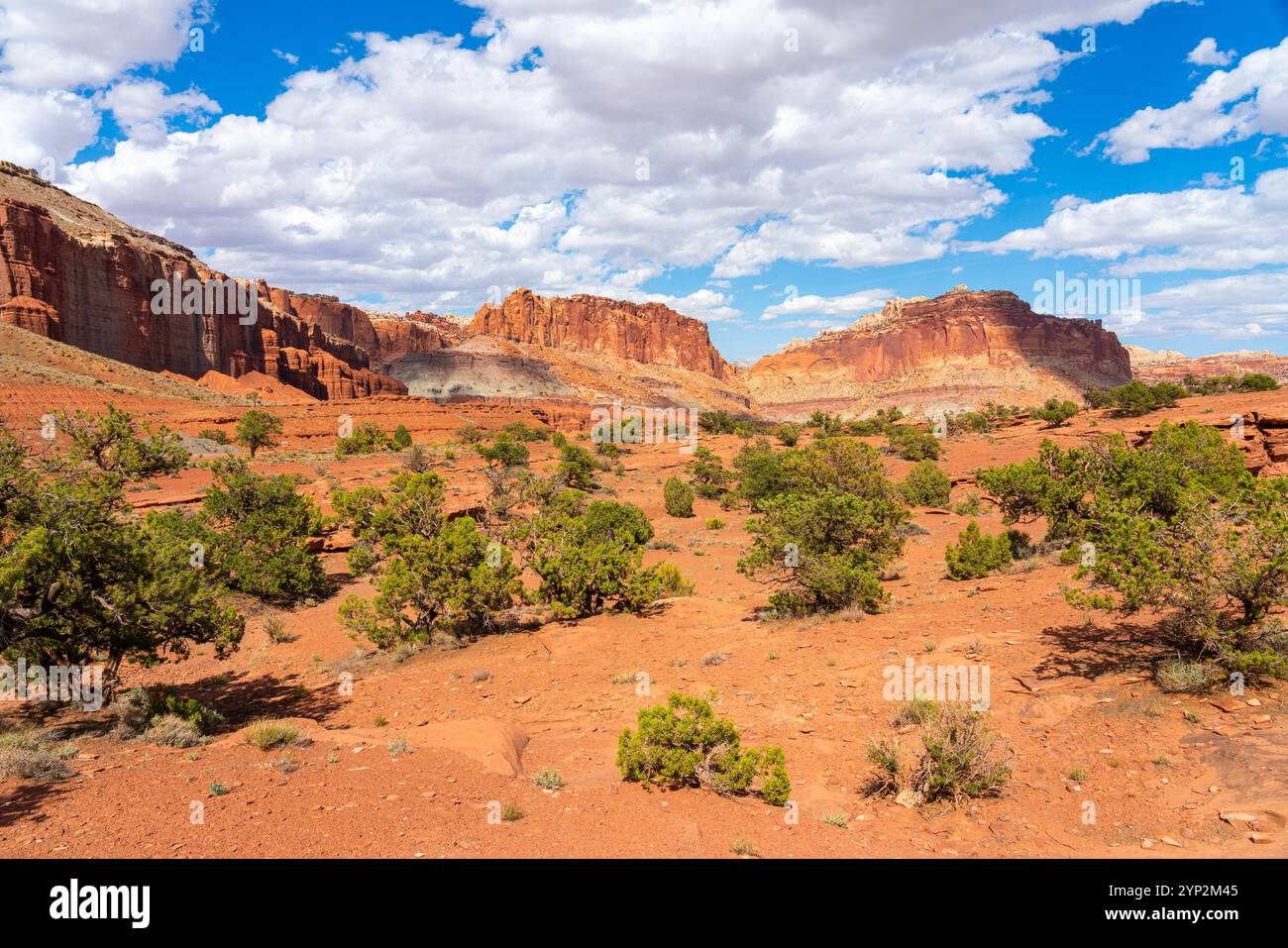 Whiskey Flat von Panorama Point, Capitol Reef National Park, Utah, Western United States, United States of America, North America Stockfoto