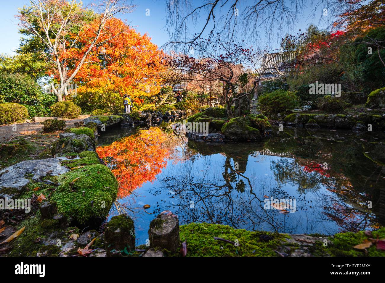 Schöner japanischer Garten im Herbst, mit leuchtenden roten Ahornblättern und Tempeldächern, Japan, Asien Stockfoto