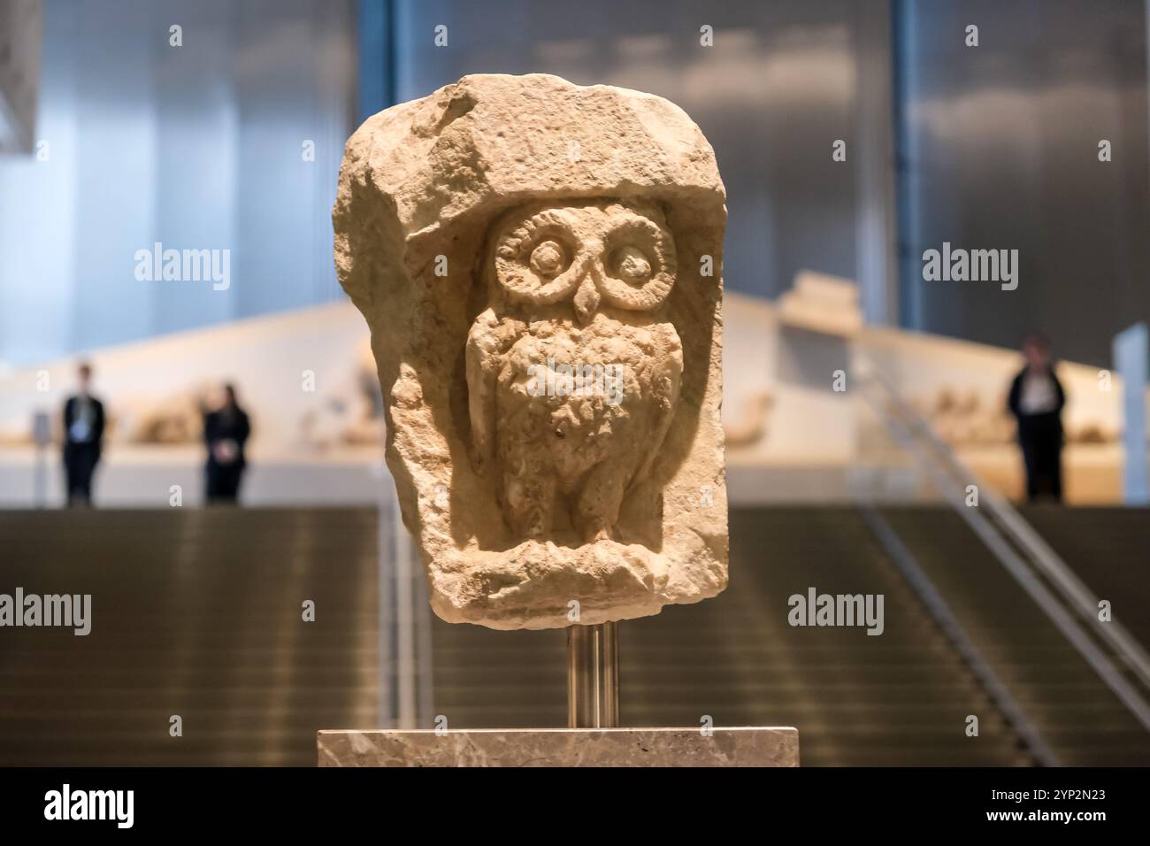 Eulen, Symbol von Athen, im Akropolis-Museum, einem archäologischen Museum im historischen Zentrum von Athen, Griechenland, Europa Stockfoto