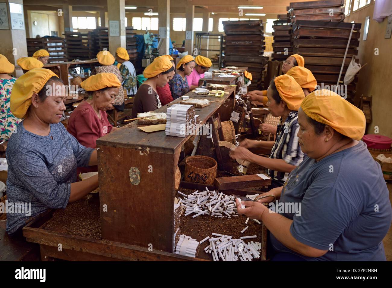 Frauen in der Tapel Koeda Kretek-Fabrik (Clove Cigarette) in Juwana, Insel Java, Indonesien, Südostasien, Asien Stockfoto