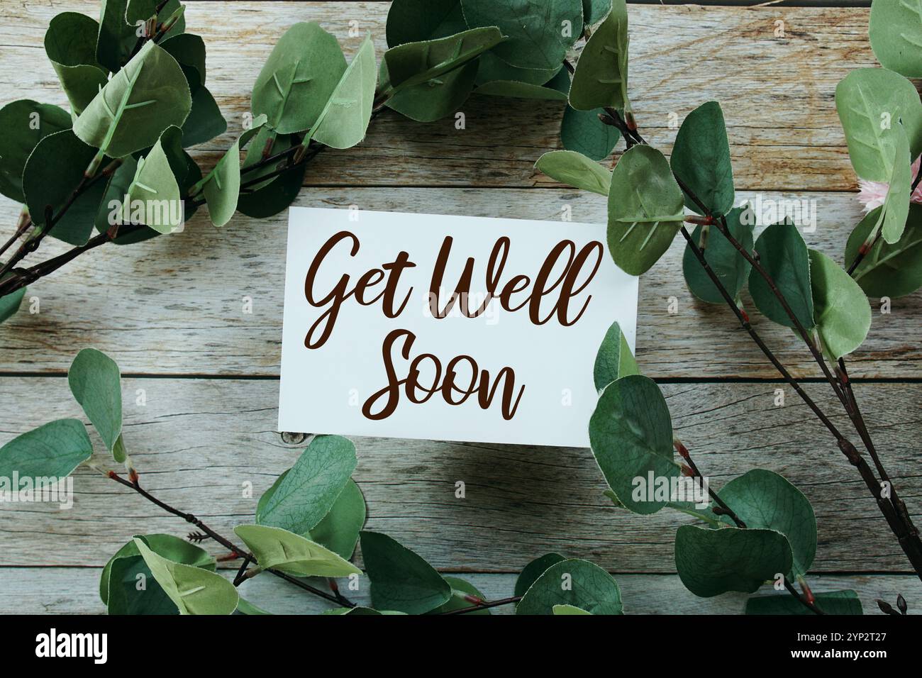 Get Well Soon Textnachricht mit künstlicher grüner Eukalyptusblattdekoration auf hölzernem Hintergrund Stockfoto