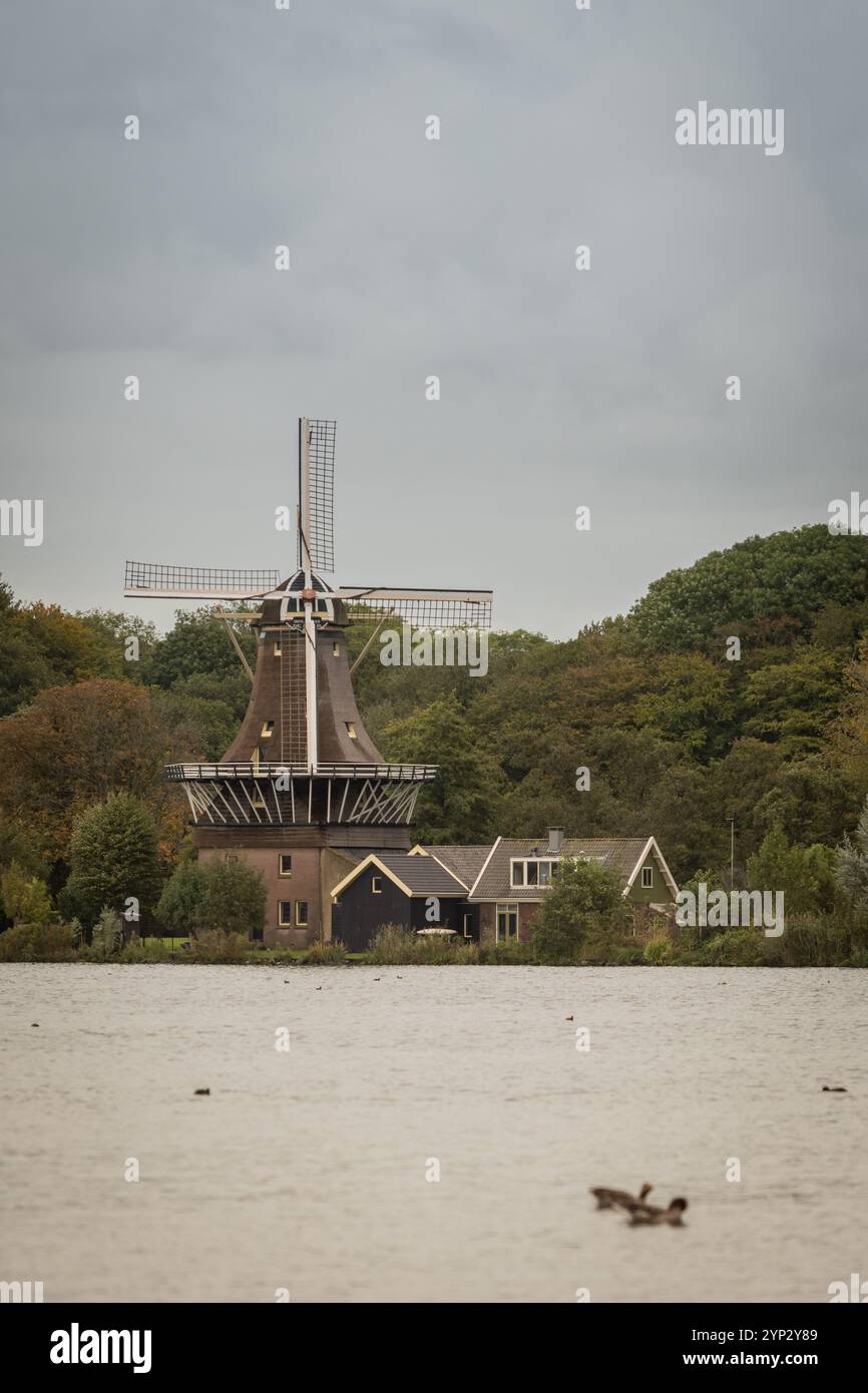 Windmill de STER oder The Star am Süßwassersee de Kralingse Plas in der Nähe von Rotterdam in den Niederlanden. Ikonisches, typisch holländisches Bild am grauen Tag Stockfoto