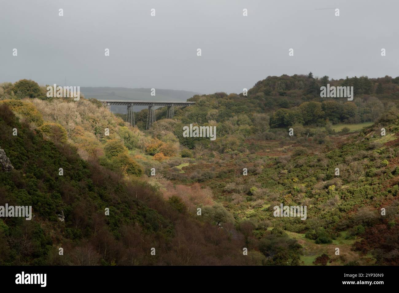 Das Meldon Viaduct und das West Okement Valley, Devon, England Stockfoto