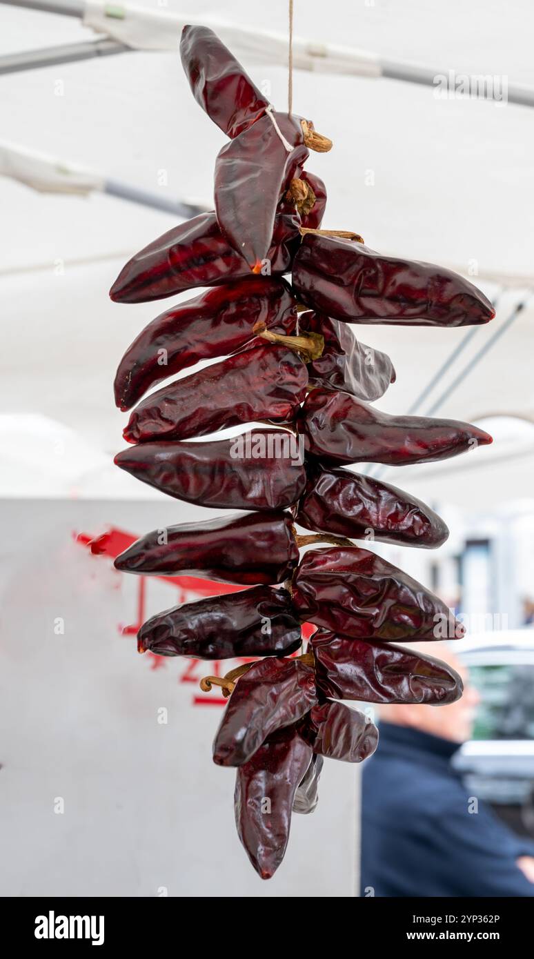 Piment d'Espelette, getrocknete rote heiße Chilischoten aus dem Dorf Espelette im Baskenland in den Bergen, Frankreich, Gewürz, französische Gewürze Stockfoto