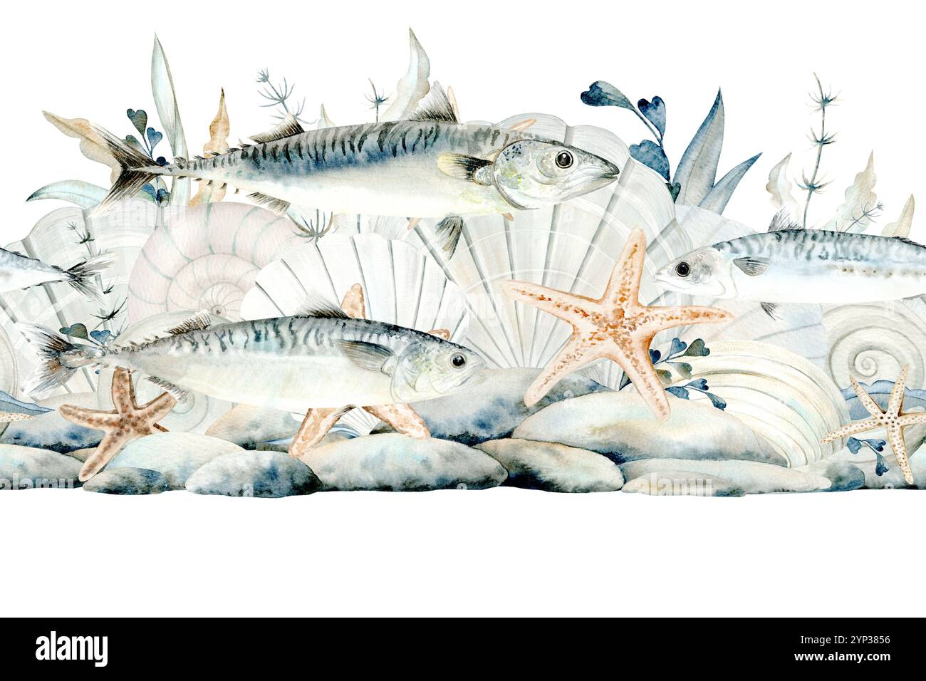 Nahtloser Rand aus Muscheln, Kieseln und Meeresalgen. Handgemalte Makrele und Kieselsteine aus Atlantik für nautische und Küstenmotive in einfarbigen Pastellfarben. Stockfoto