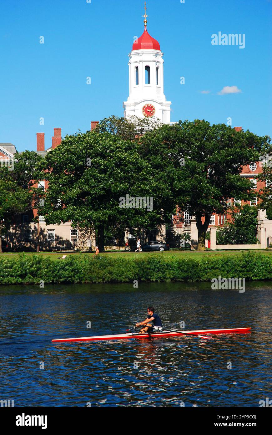 Ein einziger Schädel gleitet über den Charles River am roten Turm Dunster House auf dem Campus der Harvard University vorbei Stockfoto