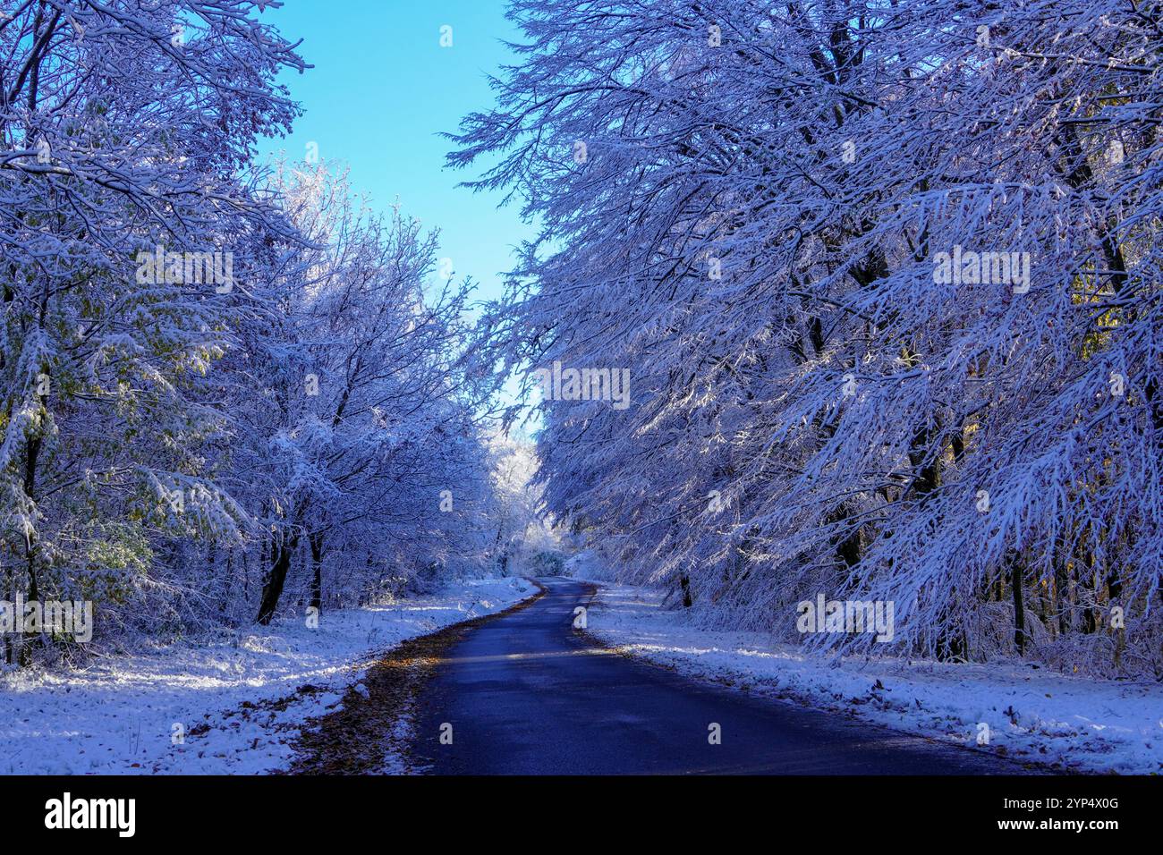 Herrliche herbstliche Straßenlandschaft mit leichtem Staub von Schnee auf dem Boden Stockfoto