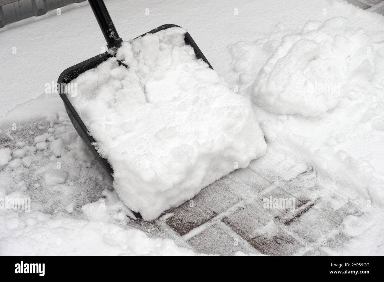 Eine Schaufel voller Schnee im Garten. Stockfoto