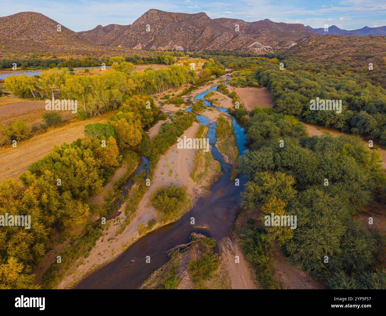 Alamo Baum , Bäume, Alameda, alamos Landschaft des Passes des Rio Sonora , Fluss in der ländlichen Gegend um Mazocahui in Baviácora Sonora, Mexiko. Westliche Sierra Madre, fruchtbares Land,(Foto: Luis Gutierrez / NorthPhoto) pradera, Grasland Paisaje del paso del Rio Sonora , rio en la Zona rural en los alrededores de Mazocahui en Baviácora Sonora, Mexiko. Sierra Madre Occidental, tierra fertil,(Foto: Luis Gutierrez / NortePhoto) Stockfoto