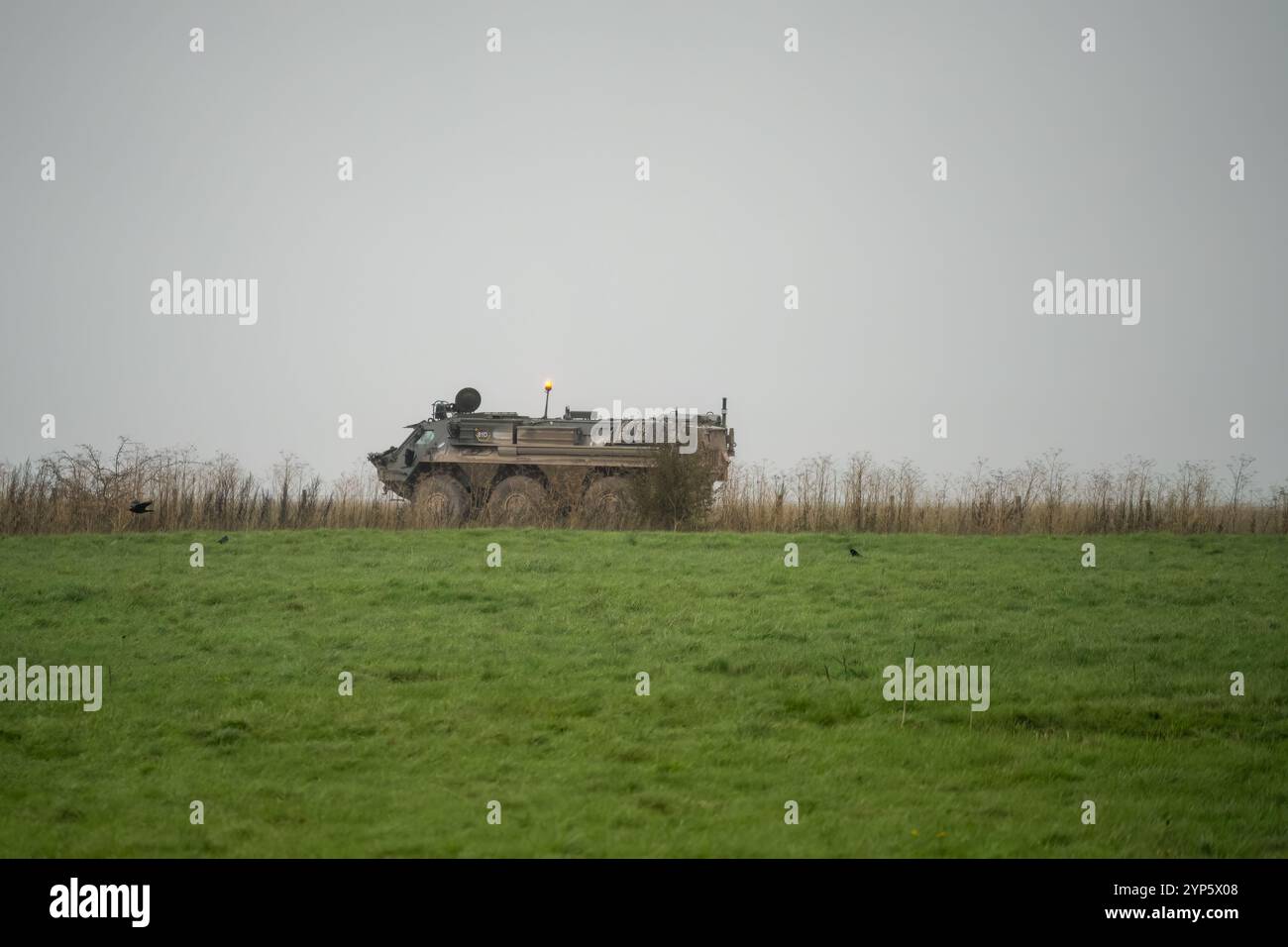 Die britische Armee Patria PASI Fuchs (Falcon Squadron) panzerte ein 6x6-Fahrzeug auf einer militärischen Übung, Wiltshire UK Stockfoto