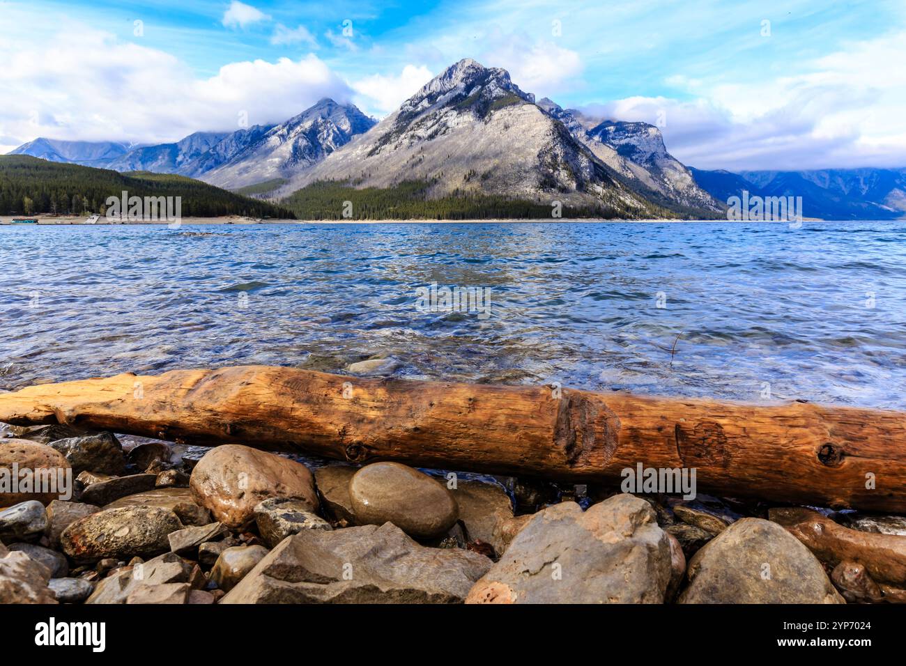 Ein großer Baumstamm sitzt an einem felsigen Ufer neben einem Gewässer. Die Szene ist ruhig und friedlich, mit Baumstämmen und Felsen, die eine natürliche Barriere bilden Stockfoto