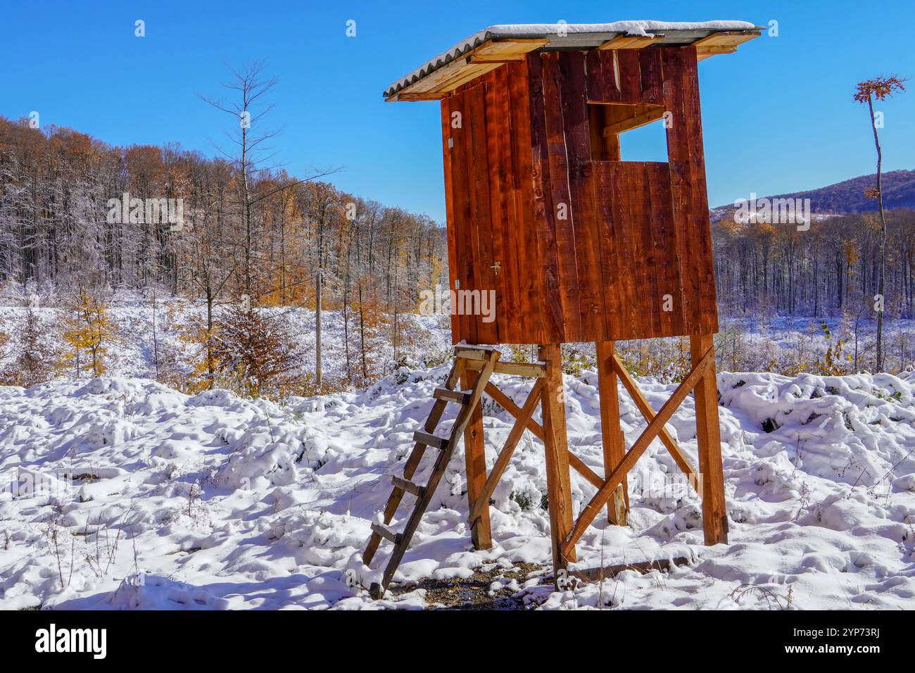 Ein Jagdturm im Wald. Wooden Hunter Hide High Wachturm. Hunters Beobachtungspunkt im Wald in Europa. Stockfoto