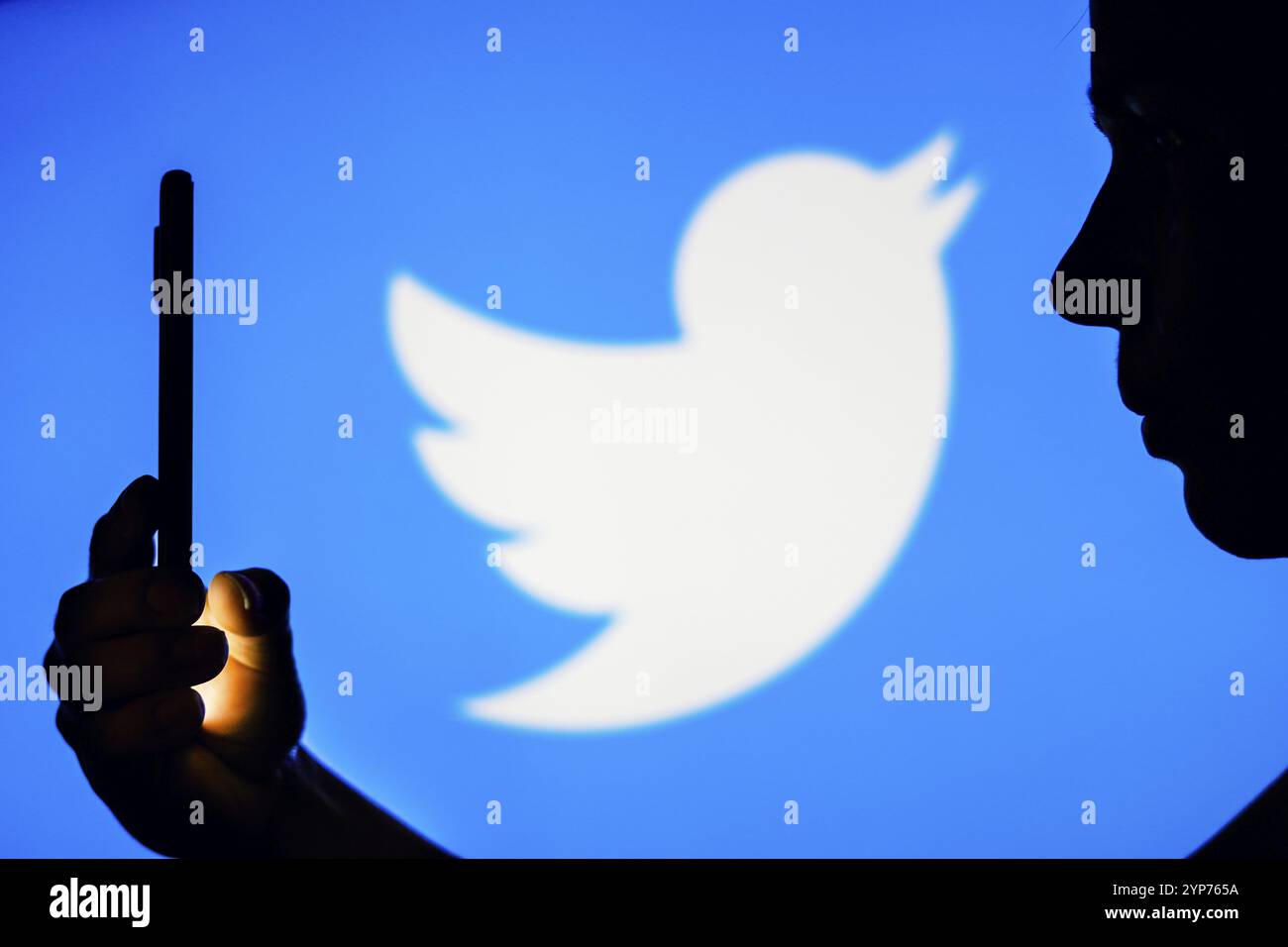 In dieser Fotoabbildung hält die Silhouette einer Frau ein Smartphone mit dem Twitter-Logo im Hintergrund Stockfoto