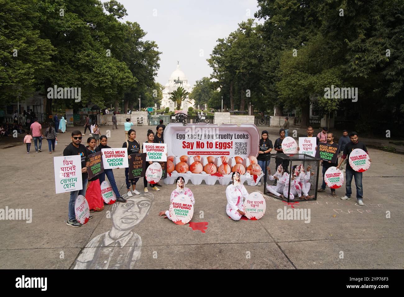 Kalkutta, Westbengalen, Indien. November 2024. Victoria Memorial war Zeuge eines starken Protestes, der heute von Mercy for Animals organisiert wurde: „Eier bedeuten Leiden: Wählen Sie Vegan“. Freiwillige, weiß gekleidet mit Hühnermasken, saßen in künstlichen Käfigen und ahmen die harten Realitäten der Fabrikzucht nach. Große Eierschachteln trugen die Botschaft „Egg-xactly wie Grausamkeit aussieht“ „Sag Nein zu Eiern“, während Freiwillige in Schwarz Plakate mit der Aufschrift „Eier bedeuten Leiden: Wählen Sie Vegan“ hielten. Die kreative Präsentation hob die Grausamkeit von Tieren in der Eierindustrie hervor und drängte die Menschen dazu, eine grausamkeitsfreie Diät anzunehmen. Die EV Stockfoto