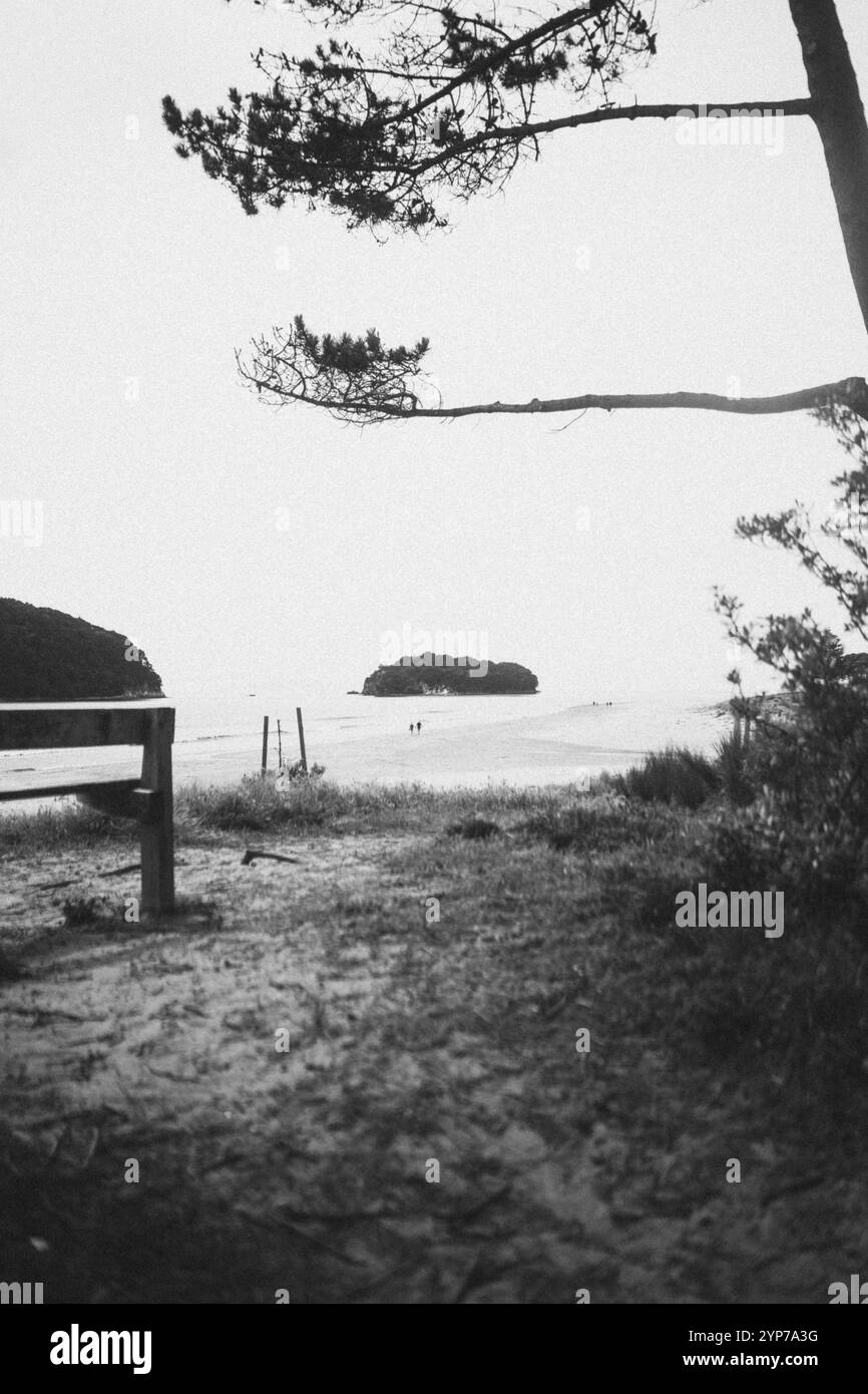 Schwarzweißfoto eines Strandes mit Bank und Blick auf die Inseln, Coromandel, Neuseeland, Ozeanien Stockfoto