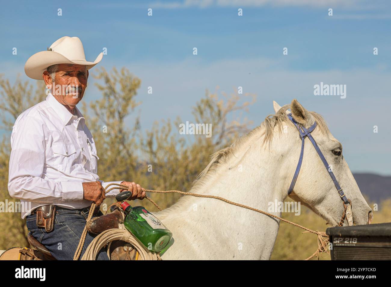 Cowboy mit Bacanora aus Agave destilliert beim Cristo Rey Ausritt zur Stadt La Puerta del Sol in URES Sonora Mexiko... (Foto: Luis Gutierrez / NorthPhoto) Vaquero con Bacanora destilado originario de Agve en la Cabalgata al Cristo Rey al pueblo La Puerta del Sol en URES Sonora Mexico... (Foto für Luis Gutierrez / NorthPhoto) Stockfoto