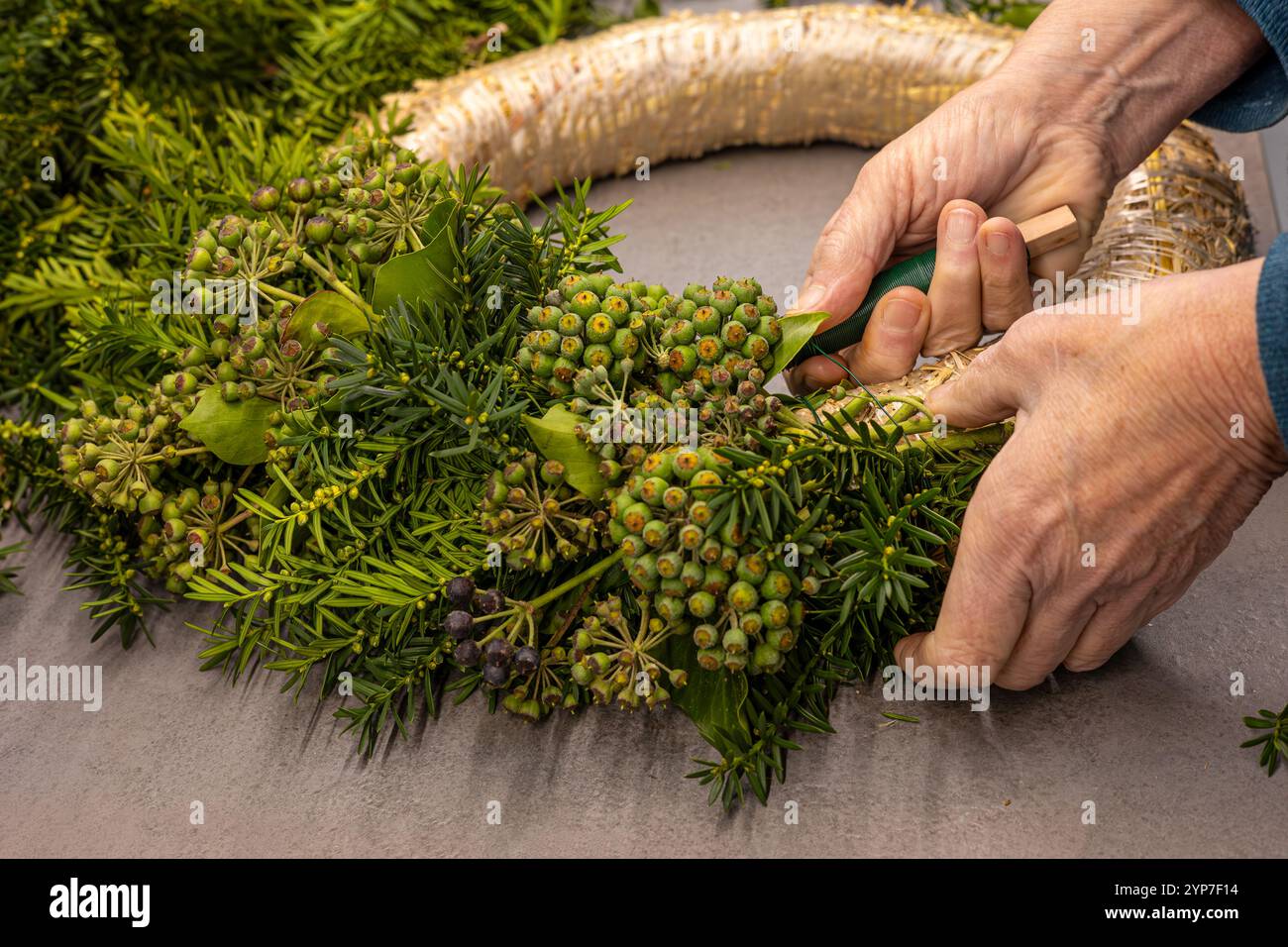 Mit den Händen wird frisches Grün gekonnt auf einer runden Basis angeordnet, wobei verschiedene natürliche Elemente zu einem wunderschön gefertigten Saisonkranz verarbeitet werden. Stockfoto