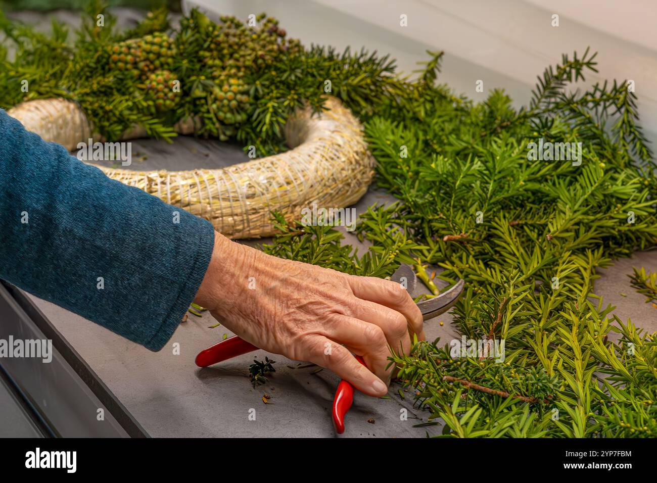Mit den Händen wird frisches Grün gekonnt auf einer runden Basis angeordnet, wobei verschiedene natürliche Elemente zu einem wunderschön gefertigten Saisonkranz verarbeitet werden. Stockfoto
