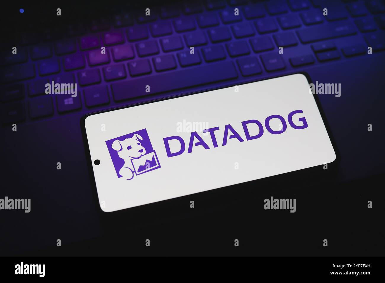 In dieser Abbildung wird das Datadog-Logo auf einem Smartphone-Bildschirm angezeigt Stockfoto