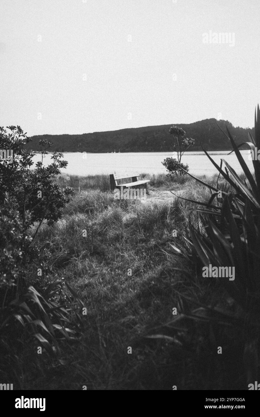 Eine Bank an einem ruhigen See mit dichter Vegetation und einer Insel im Hintergrund, Coromandel, Neuseeland, Ozeanien Stockfoto