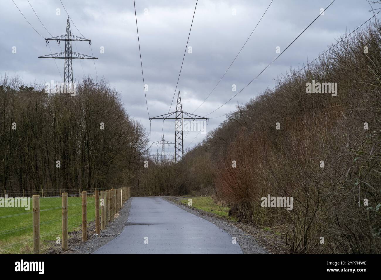 Straße mit elektrischen Pylonen in der Landschaft Stockfoto