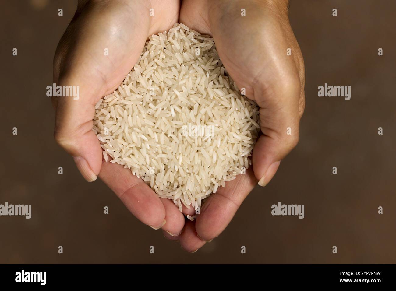 In dieser Abbildung zeigt die Nahaufnahme der Hände eines Kochs, der eine Portion rohen weißen Reis hält Stockfoto