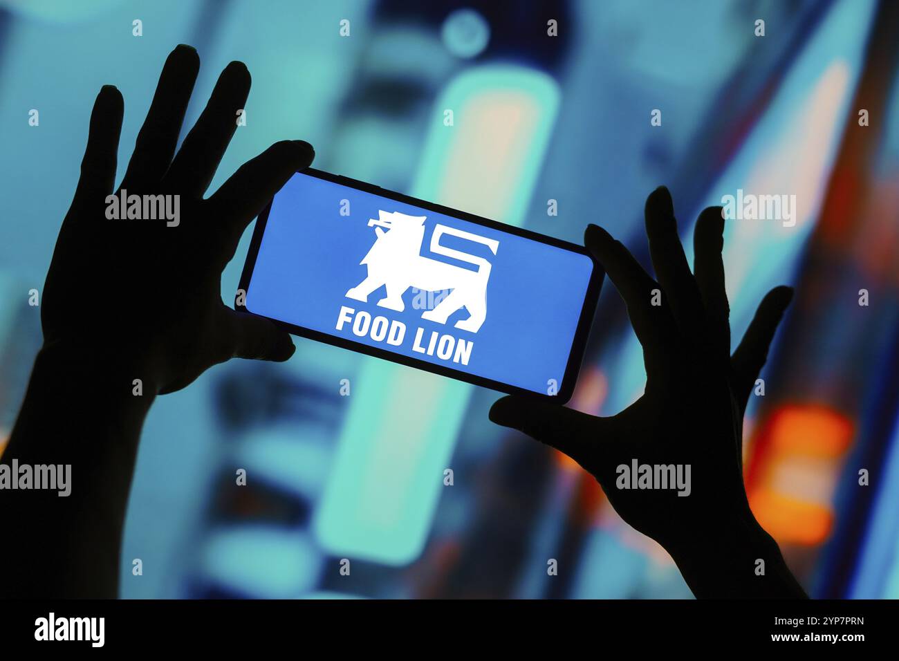 In dieser Fotoabbildung wird das Food Lion Logo auf einem Smartphone angezeigt Stockfoto