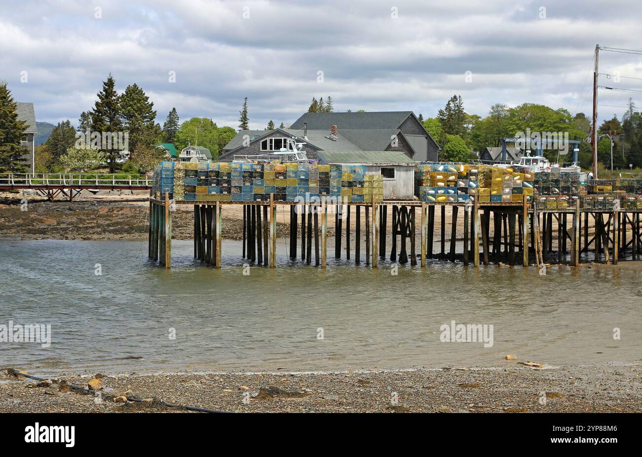 Pier mit Hummerfallen - Little Island Marine, Maine Stockfoto