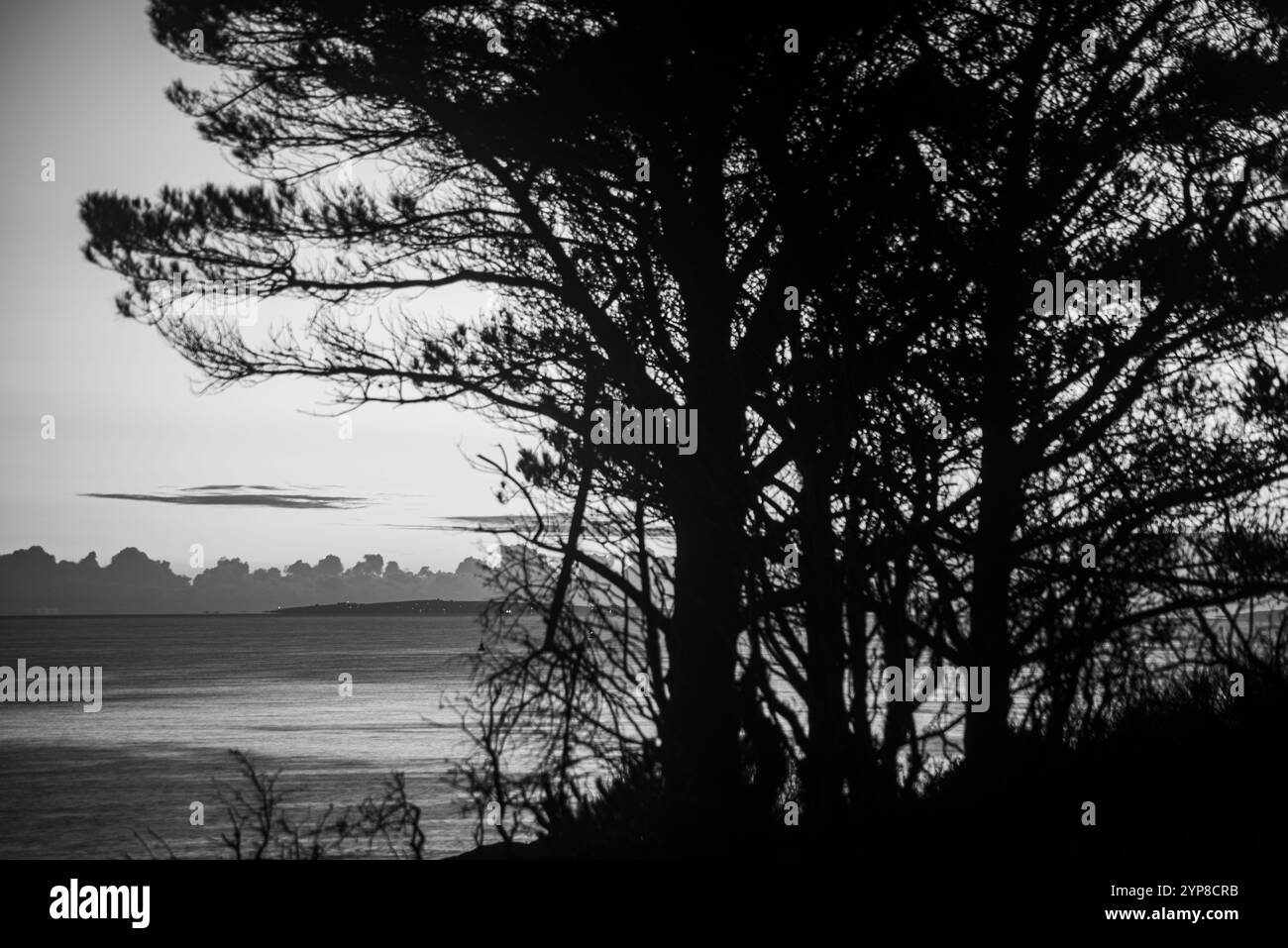 „Hidden Horizon“ – schwarz-weiße Landschaft mit Bäumen, Galway Bay, Arran Islands, Irland Stockfoto