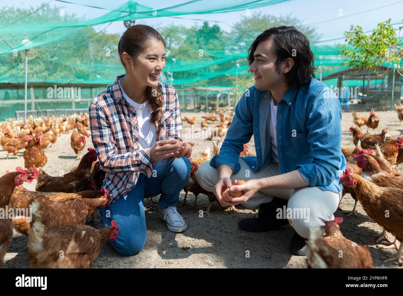 Männer und Frauen auf einer Geflügelfarm Stockfoto