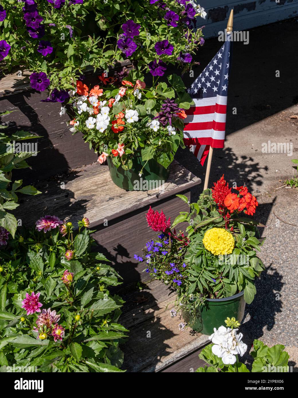 Ein Gartenladen, der Pflanzen im Frühjahr in Paxton verkauft Stockfoto