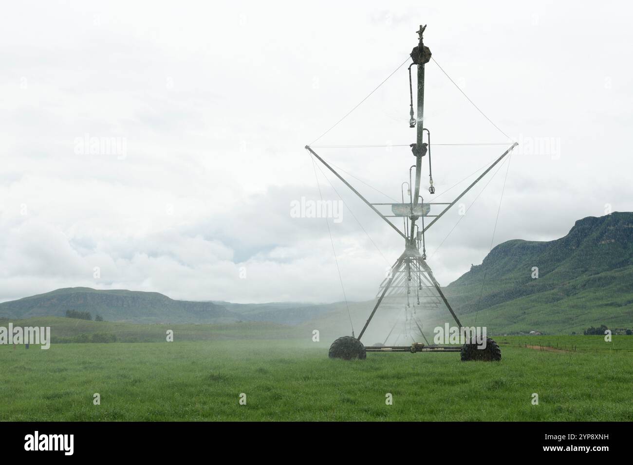 Landwirtschaft, Bewässerungsgeräte auf grünem Feld auf gewerblichem Bauernhof, KwaZulu-Natal, Südafrika, Wasserwirtschaft für Präzisionslandwirtschaft, Sprinkler Stockfoto