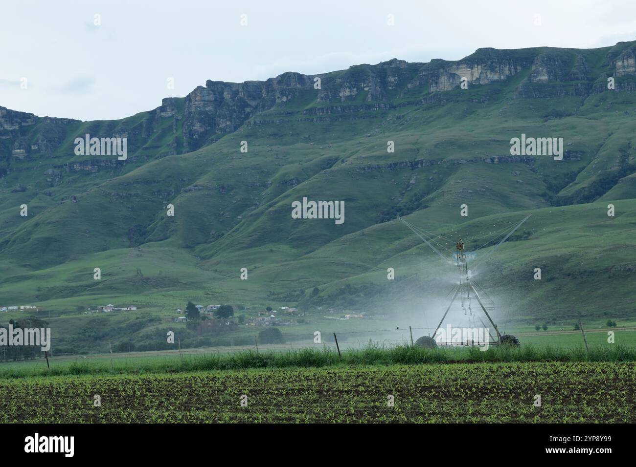 Landwirtschaftslandschaft, Mittelschwenkbewässerungssystem für die Präzisionslandwirtschaft in den Drakensberg-Bergen von KwaZulu-Natal, Südafrika, kommerzielle Ranch Stockfoto