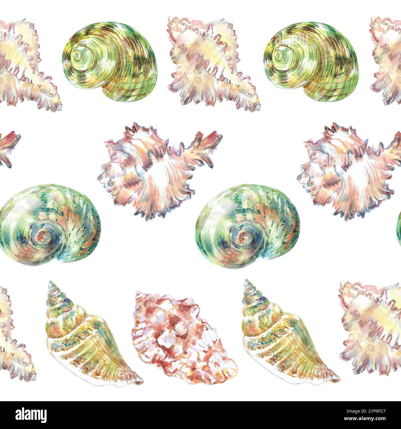 Muschelmuster unter Wasser in Aquarellen. Murex Endivia, Voluta virescens, Conch Schnecke, Turbo Shell, Mond, Rosy Wolf Schnecke Muscheln mit Stockfoto