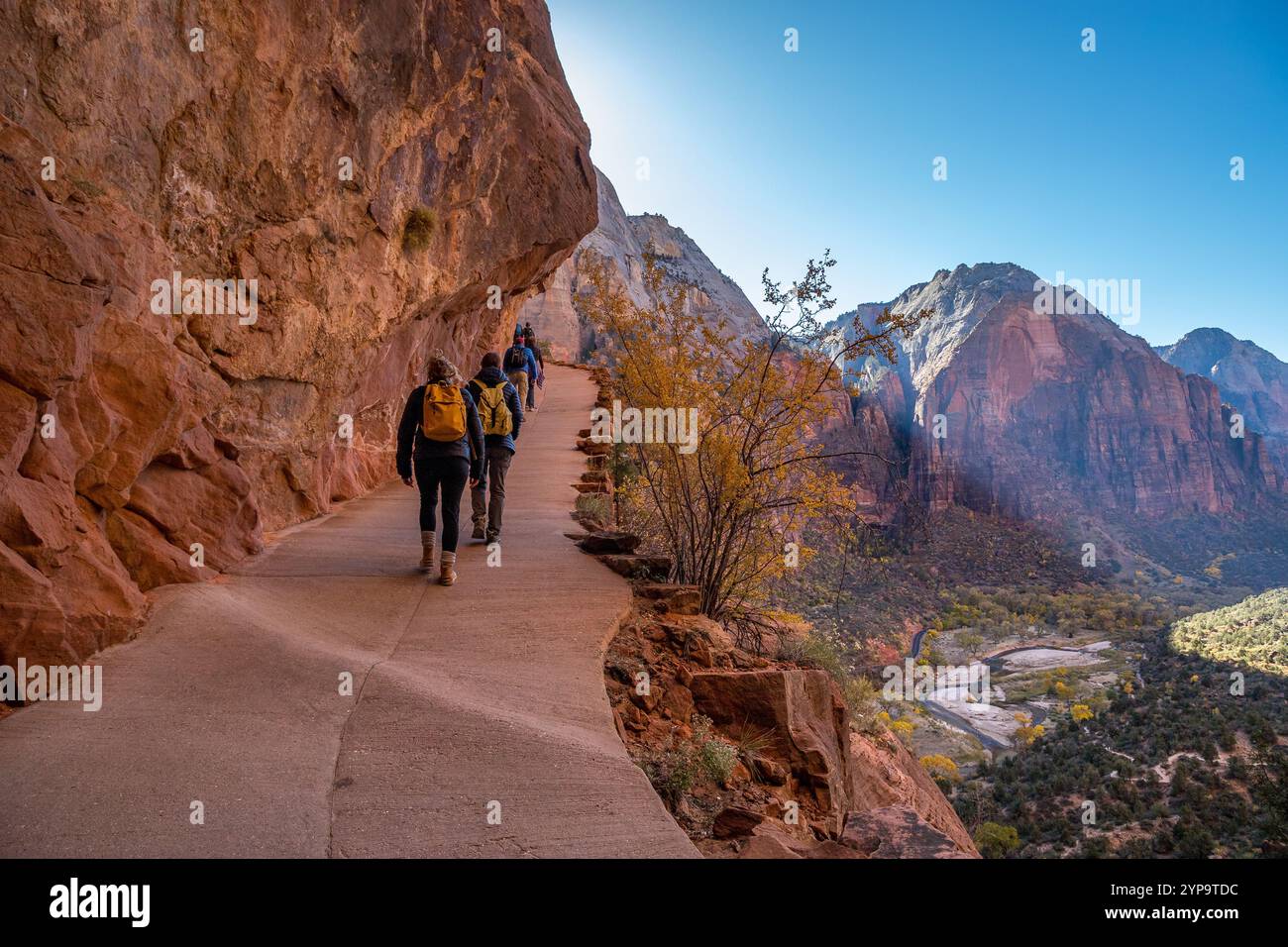 Abenteuerlustige Personen wandern auf den malerischen Wegen des West Rim Trail im Zion National Park und bieten atemberaubende Ausblicke auf Sandsteinklippen und Stockfoto