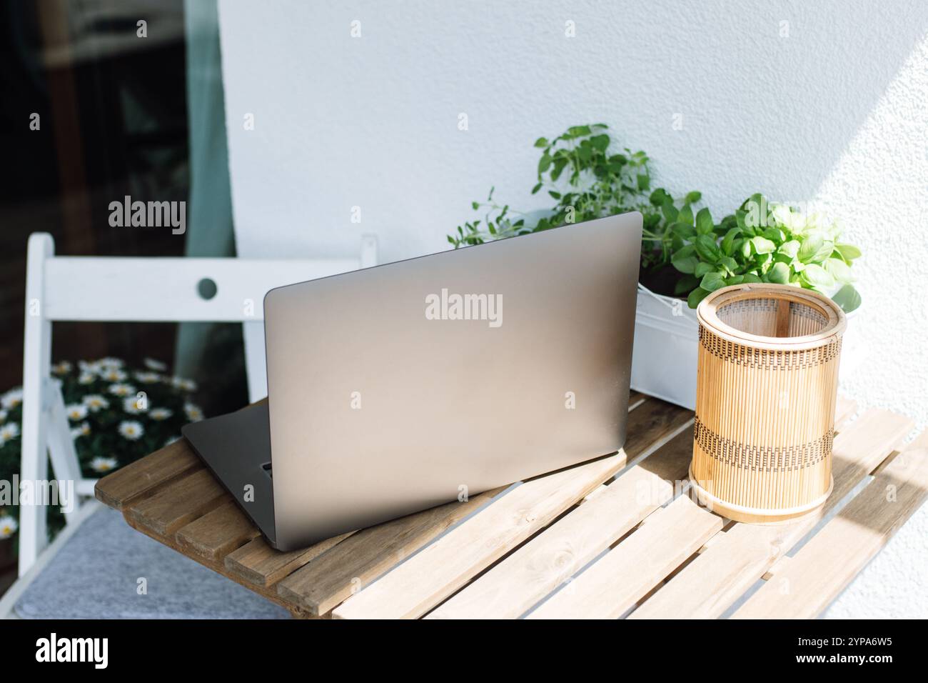 Laptop auf Tisch im Freien mit Pflanzen, helle und sonnige Umgebung Stockfoto