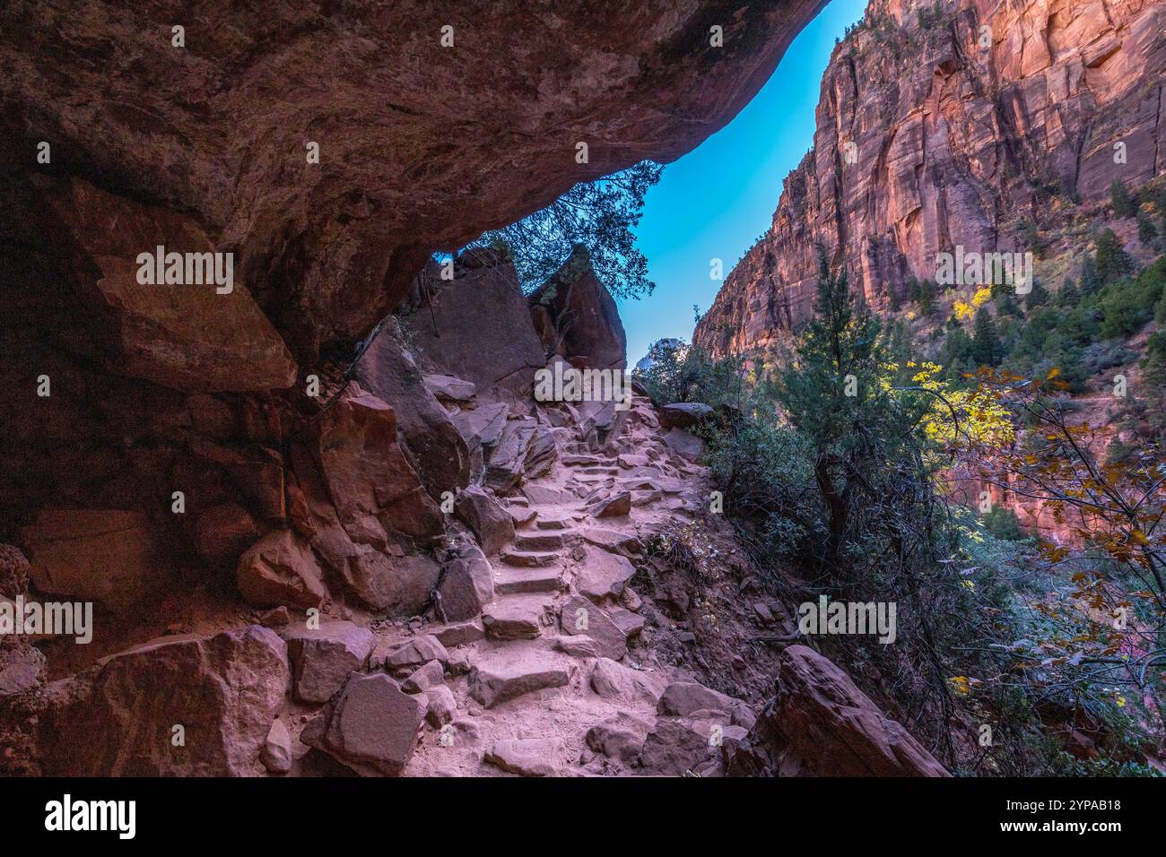 Entdecken Sie die ruhige Schönheit des Emerald Pools Trail inmitten atemberaubender Sandsteinklippen und lebhaftem Grün im Zion National Park. Stockfoto