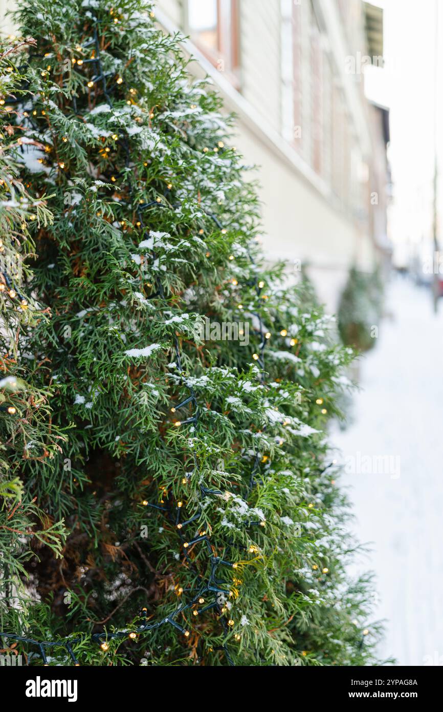 Nahaufnahme eines Weihnachtsbaums mit warmen Lichtern an verschneiten Tagen draußen Stockfoto