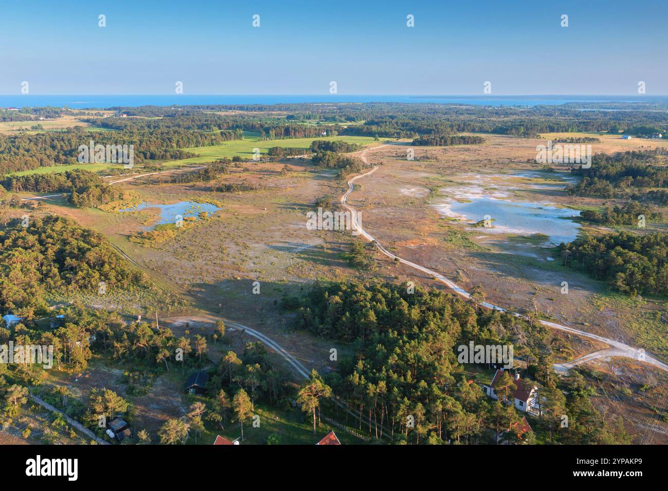 Steppe mit einzelnen Gruppen von Büschen und flachen Seen, aus der Vogelperspektive, Schweden, Gotland, Färöer, Kalbjaerga Stockfoto