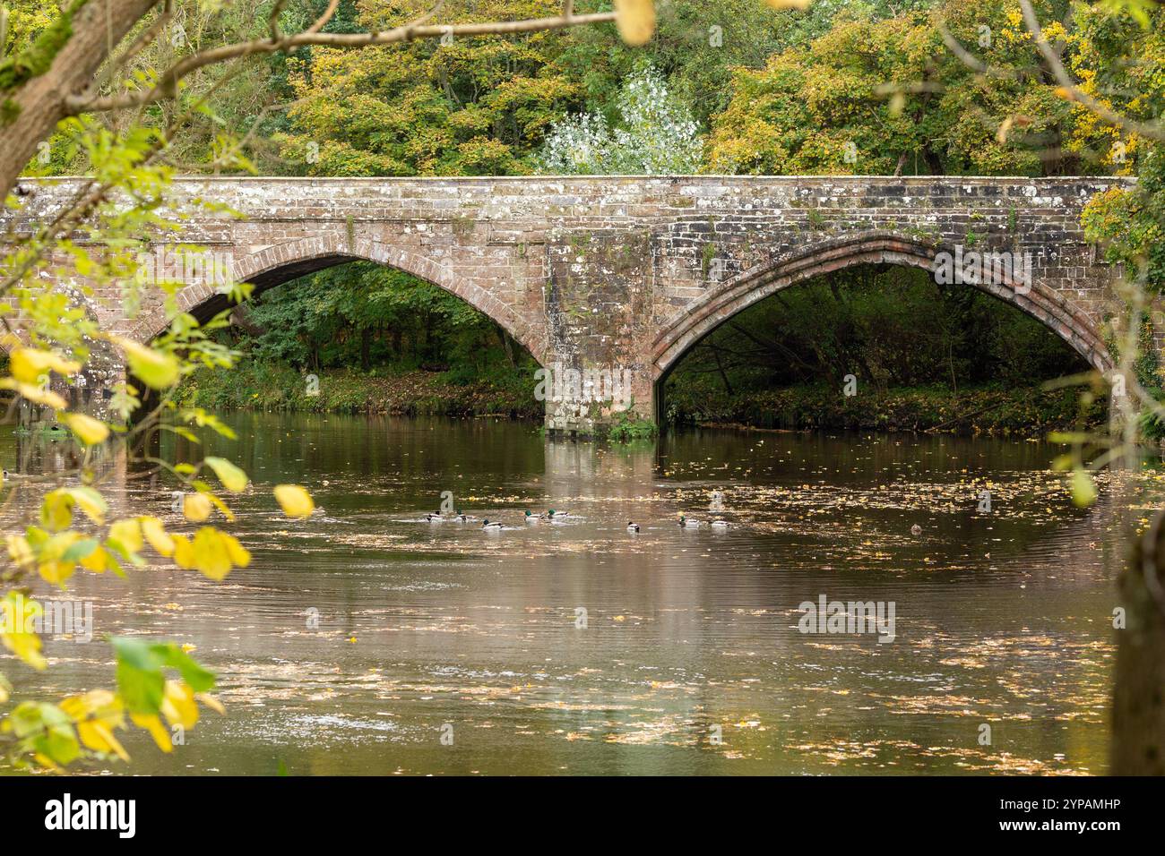 Alte Cramond Brücke am Stadtrand von Edinburgh, Schottland. Stockfoto