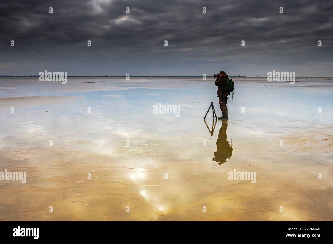 Naturfotograf im Wattenmeer im Herbst, Niederlande, Texel, Duenen von Texel Nationalpark Stockfoto