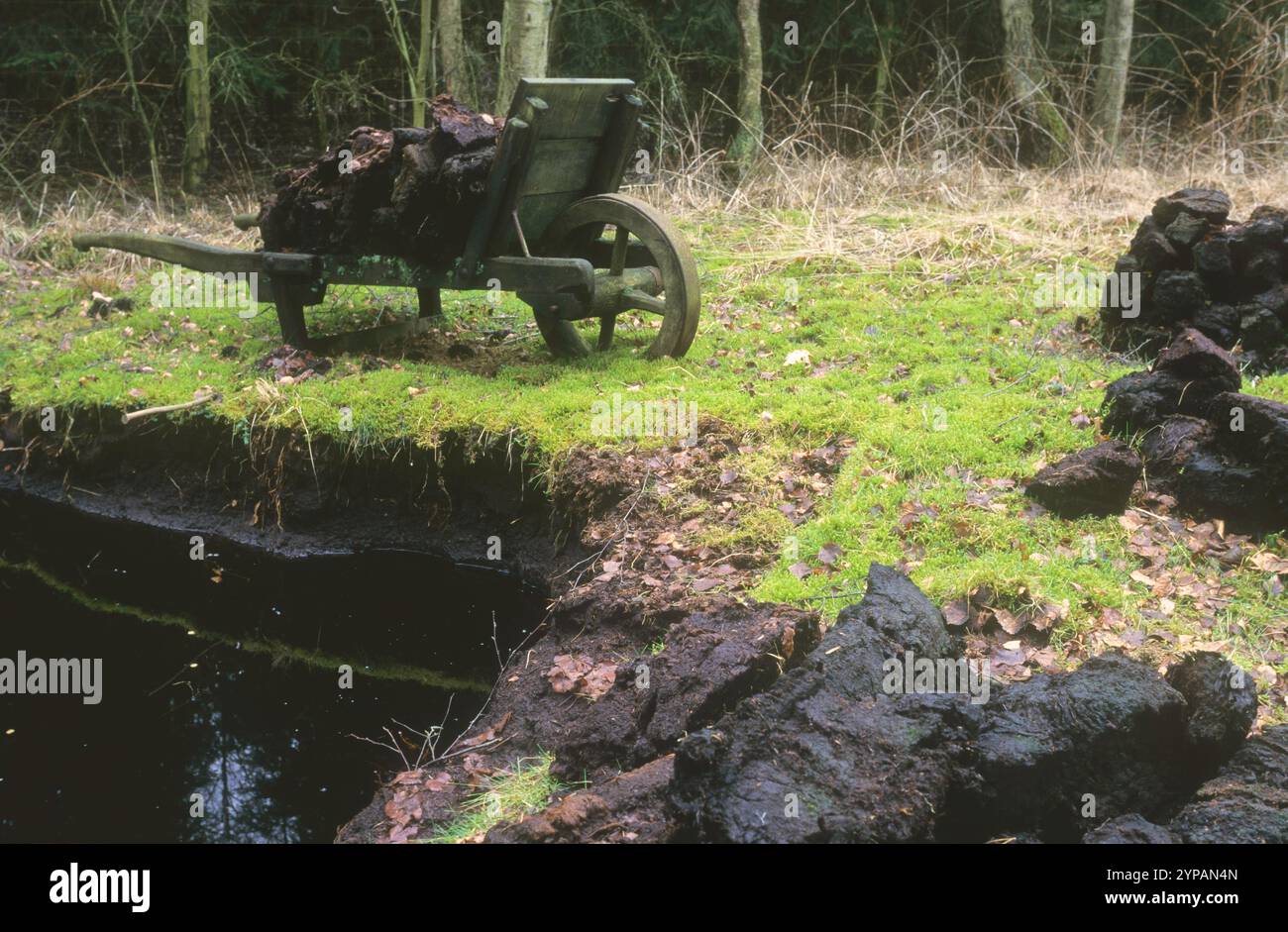 Torfschnitt im Moor mit Torfpflügen und Handkarre, Deutschland Stockfoto