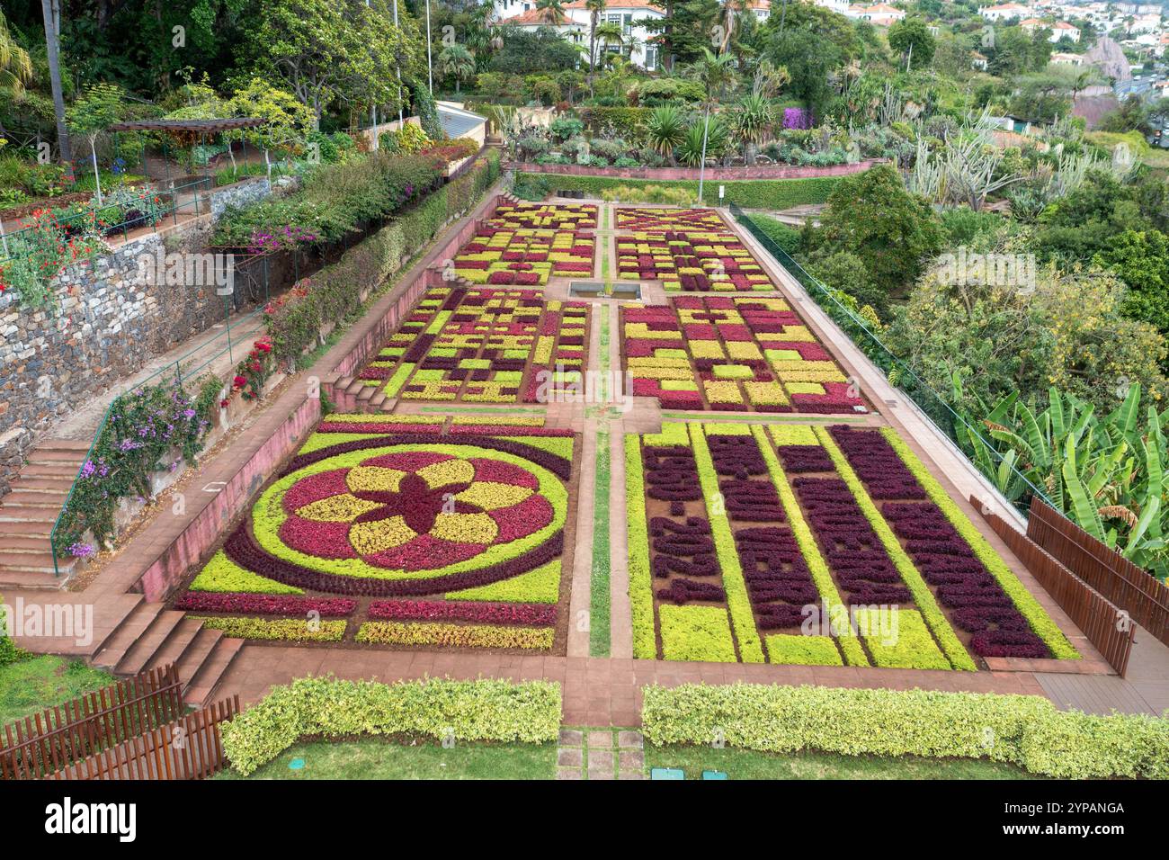 Botanischer Garten Funchal, rote und grüne Betten Formen Muster, Madeira, Funchal Stockfoto