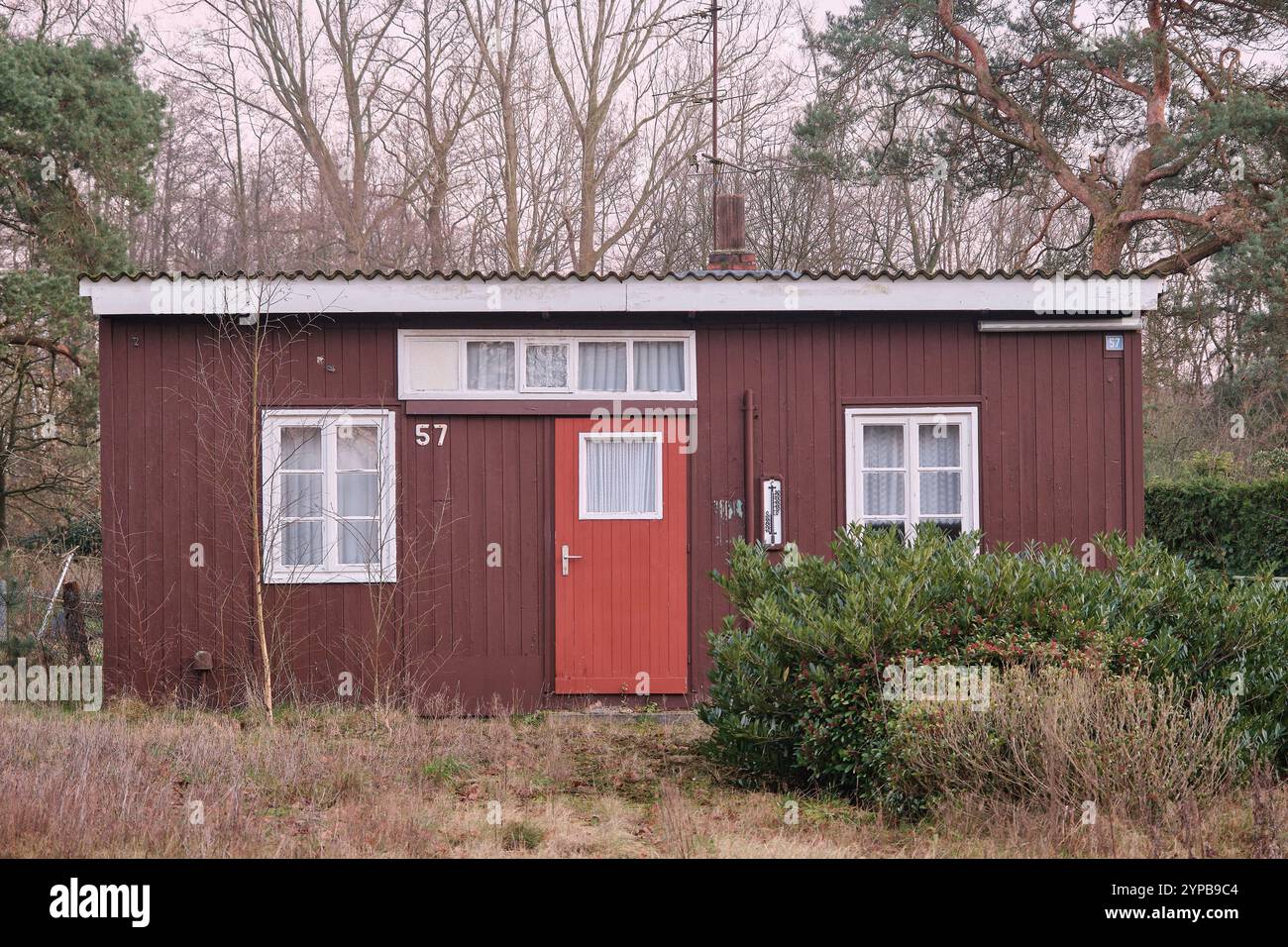 Altes rustikales Ferienhaus mit roter Holzfassade, weiß gerahmten Fenstern und roter Tür, eingebettet in Grün in Neuenhaus, Deutschland, im Winter. Stockfoto